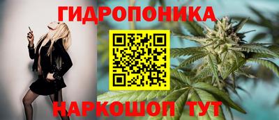 сатива Краснознаменск