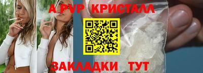 сатива Краснознаменск