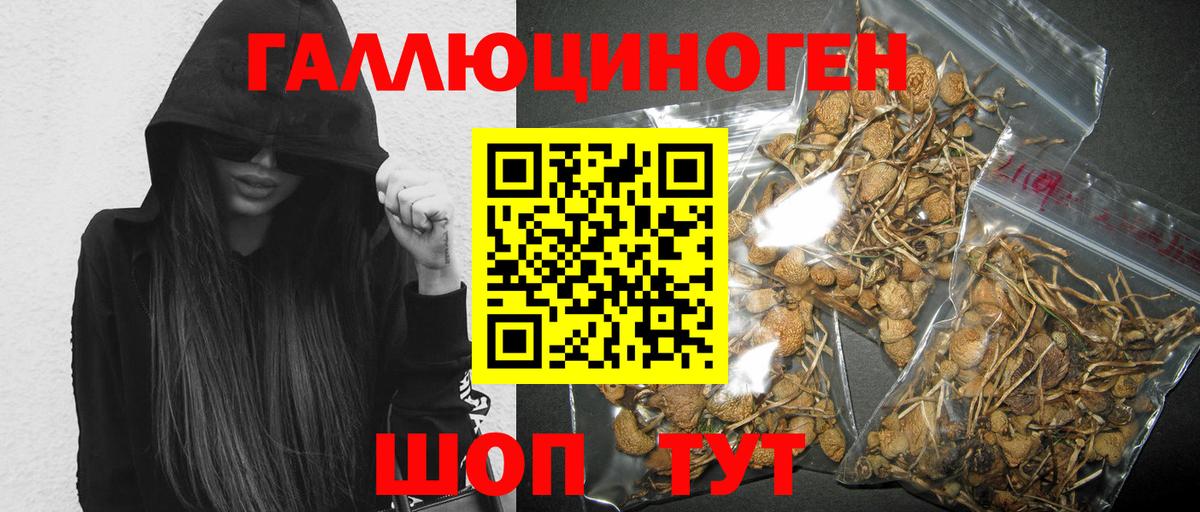 дарнет шоп  Псилоцибиновые грибы мухоморы  Псилоцибиновые грибы Psilocybe  Вход с VPN  Вичуга 